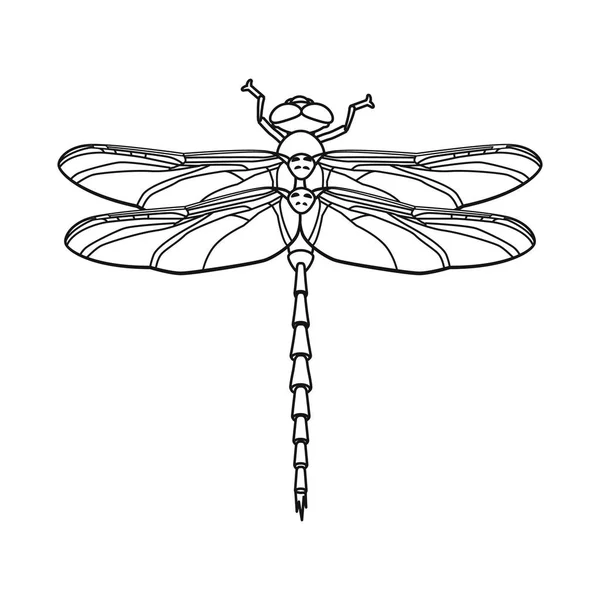 Geïsoleerde object van insecten en vliegen symbool. Collectie van insect en element vector pictogram voor voorraad. — Stockvector