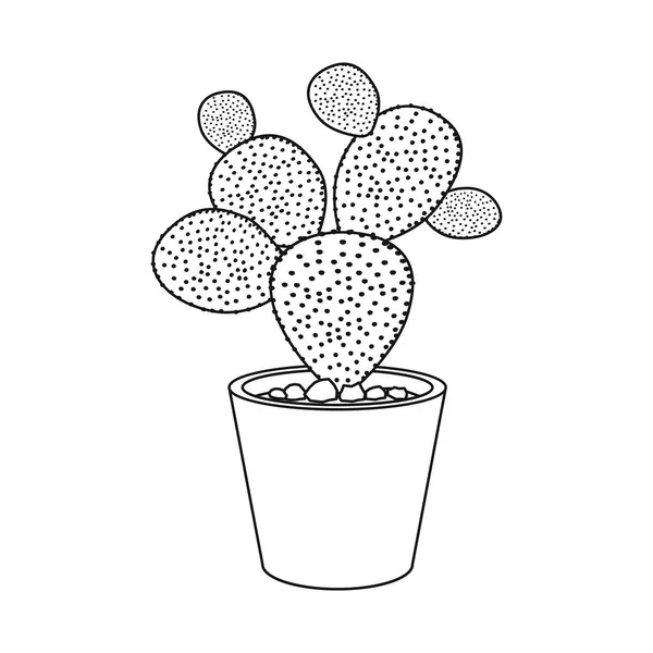 Objeto aislado de cactus y logotipo del pote. Conjunto de cactus y cactus vector icono para stock . — Archivo Imágenes Vectoriales