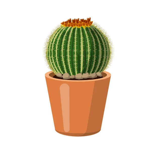 Vector ontwerp van cactus en pot teken. Set cactus en cactussen vector pictogram voor voorraad. — Stockvector