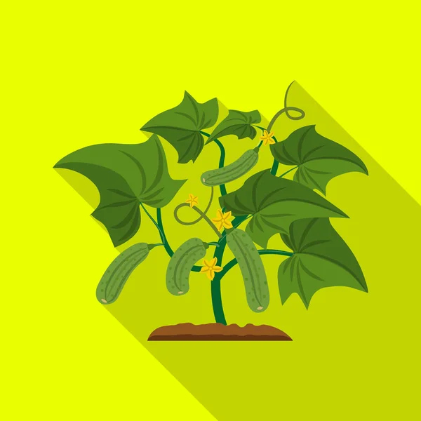 Ilustracja wektorowa roślin cieplarnianych i ikony. Kolekcja cieplarnianych i ogród Stockowa ilustracja wektorowa. — Wektor stockowy