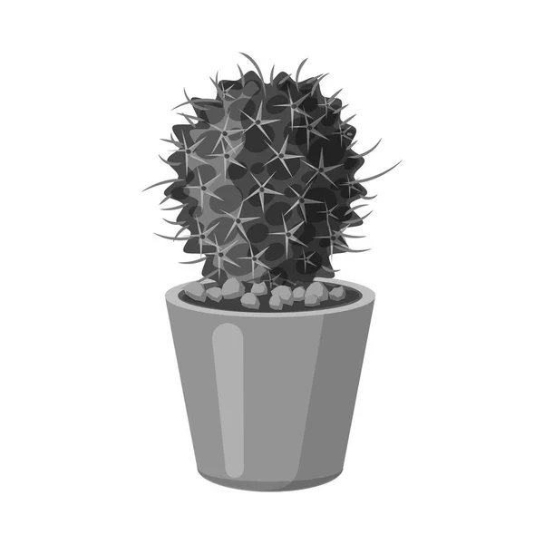 Vectorillustratie van pictogram cactus en pot. Verzameling van cactus en cactussen voorraad vectorillustratie. — Stockvector