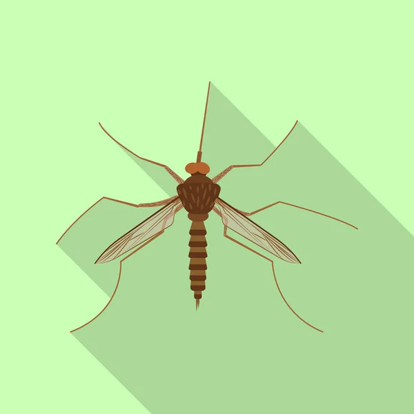 Isolerade objekt av insekt och flyga symbol. Uppsättning av insekts- och elementet lager vektorillustration. — Stock vektor