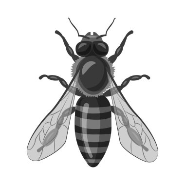 Böcek ve sinek logosu yalıtılmış nesne. Böcek ve öğe vektör simgesini hissenin topluluğu.