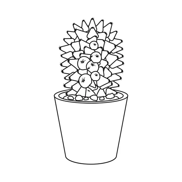 Vectorillustratie van cactus en pot symbool. Collectie van de cactus en cactussen vector pictogram voor voorraad. — Stockvector