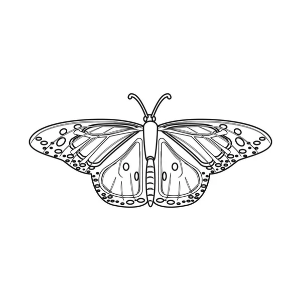Design vettoriale del logo di insetti e mosche. Raccolta di icone vettoriali di insetti ed elementi per stock . — Vettoriale Stock