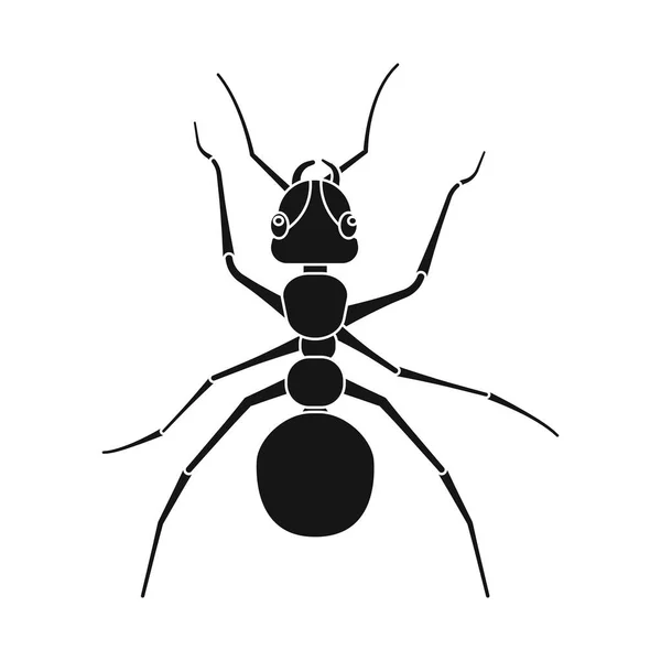Векторная иллюстрация символа насекомого и мухи. Коллекция значков насекомых и векторов элементов для склада . — стоковый вектор