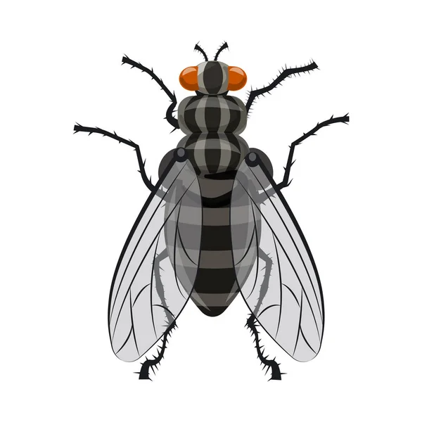 곤충과 비행 로그인의 고립 된 개체입니다. 주식에 대 한 곤충 및 요소 벡터 아이콘의 컬렉션. — 스톡 벡터