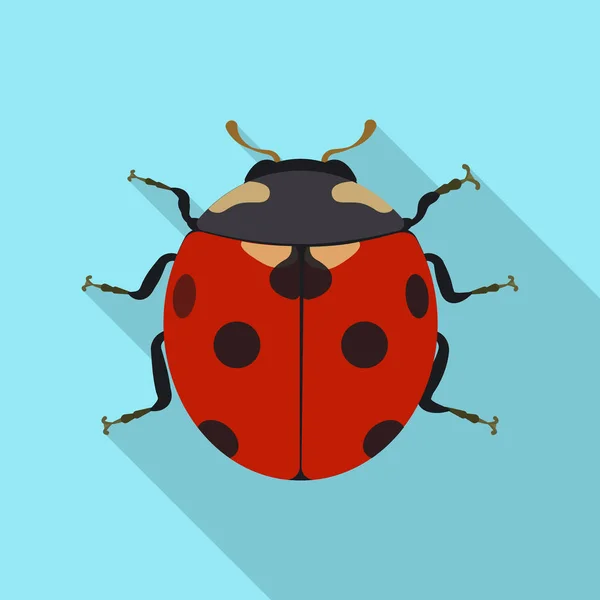 Design vettoriale dell'icona di insetti e mosche. Set di icone vettoriali di insetti ed elementi per stock . — Vettoriale Stock