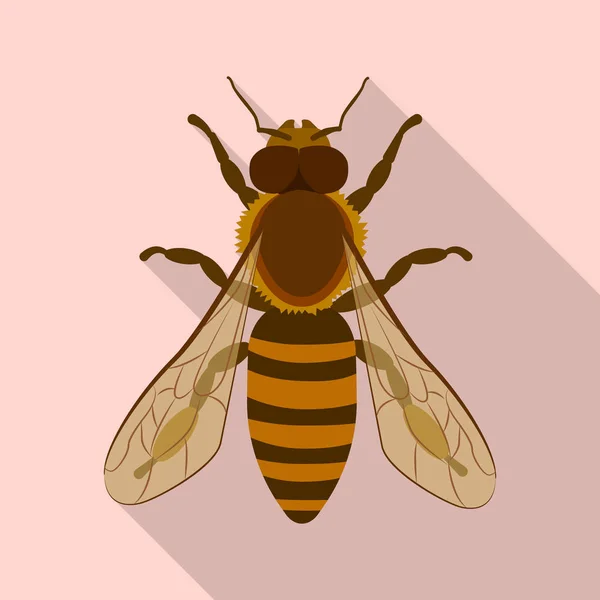 Izolovaný objekt ikony hmyzu a létat. Sbírku hmyzu a element burzovní symbol pro web. — Stockový vektor
