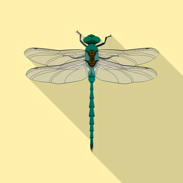 Vektorillustration von Insekten- und Fliegensymbol. Insekten- und Elementaktivvektorillustration. — Stockvektor