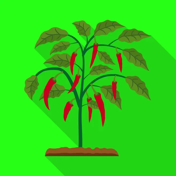 Eristetty kohde kasvihuone ja kasvi symboli. Joukko kasvihuone ja puutarha vektori kuvaketta varastossa . — vektorikuva