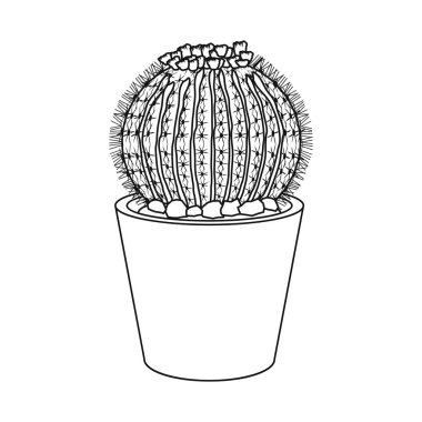 Kaktüs ve pot logo yalıtılmış nesne. Kaktüs ve kaktüsler koleksiyonu vektör hisse senedi simgesi.