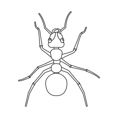 Böcek ve sinek logo vektör Illustration. Böcek ve öğe hisse senedi simgesi için web topluluğu.