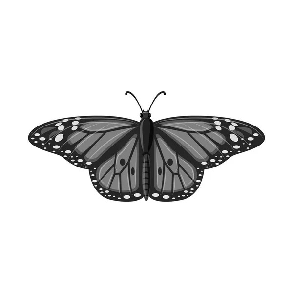Vektordesign von Insekten- und Fliegenzeichen. Set von Insekten- und Elementlagersymbol für das Netz. — Stockvektor
