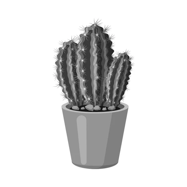 Objeto aislado de cactus e ícono del pote. Conjunto de cactus y cactus vector icono para stock . — Vector de stock