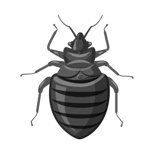 Ilustração vetorial do ícone de inseto e mosca. Coleção de ícone de inseto e elemento vetorial para estoque . —  Vetores de Stock