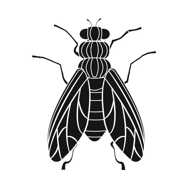 곤충 및 비행 아이콘의 벡터 디자인입니다. 주식에 대 한 곤충 및 요소 벡터 아이콘 세트. — 스톡 벡터