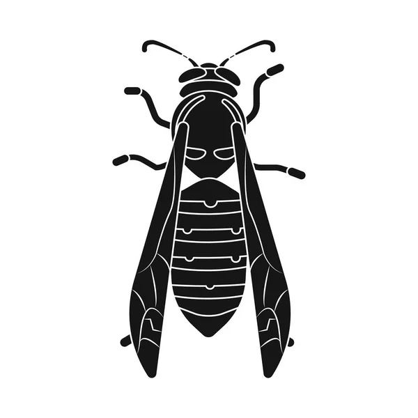 Isolerade objekt av insekt och flyga-ikonen. Uppsättning av insekts- och elementet aktiesymbol för webben. — Stock vektor
