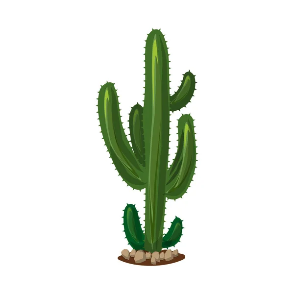 Diseño vectorial de cactus y pote símbolo. Conjunto de ilustración vectorial de cactus y cactus . — Vector de stock