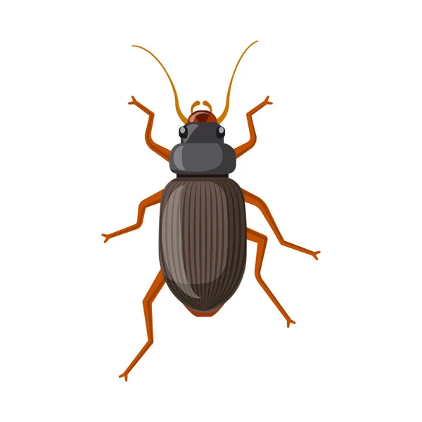 Illustration vectorielle du symbole insecte et mouche. Ensemble d'illustration vectorielle de stock d'insectes et d'éléments . — Image vectorielle
