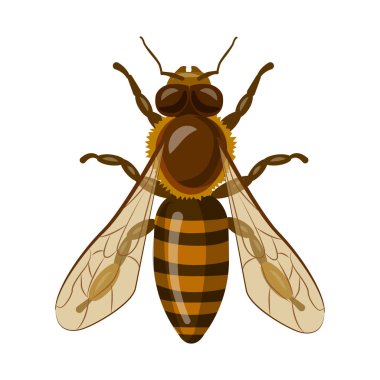 Böcek ve sinek simge vektör tasarımı. Böcek ve öğe vektör simgesini hissenin topluluğu.