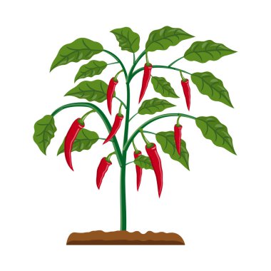 Sera ve bitki sembolü yalıtılmış nesne. Sera ve Bahçe hisse senedi vektör çizim koleksiyonu.