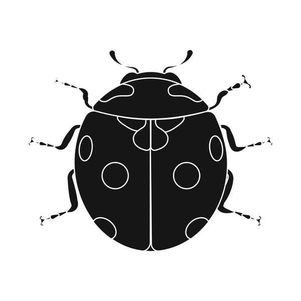 Vector illustration of insect and fly sign. Collection of insect and element stock symbol for web. — Stock Vector