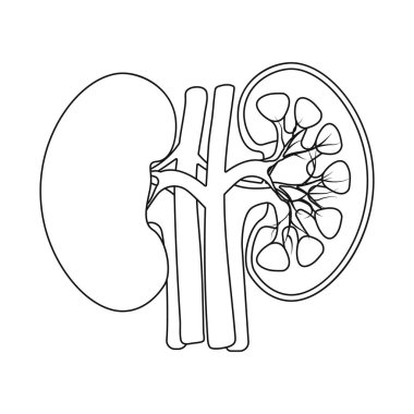 Vücut ve insan işareti vektör çizimi. Vücut ve hisse senedi için tıbbi vektör ikon koleksiyonu.