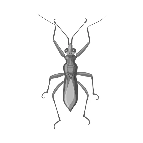 Ізольований об'єкт комахи та знаку мухи. Колекція комах та елементів Векторні ілюстрації . — стоковий вектор