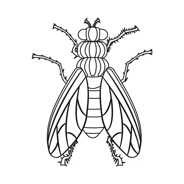 Diseño vectorial del icono de insectos y moscas. Conjunto de icono de vector de insectos y elementos para stock . — Vector de stock