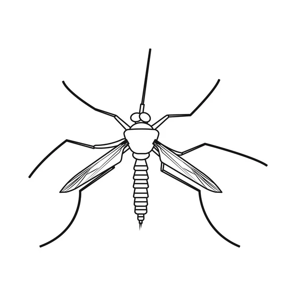 Conception vectorielle de signes d'insectes et de mouches. Collection d'insectes et d'éléments symbole de stock pour la toile . — Image vectorielle