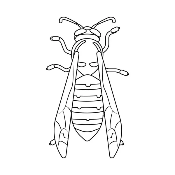 Na białym tle obiekt owad i mucha logo. Zbiór owadów i element Stockowa ilustracja wektorowa. — Wektor stockowy