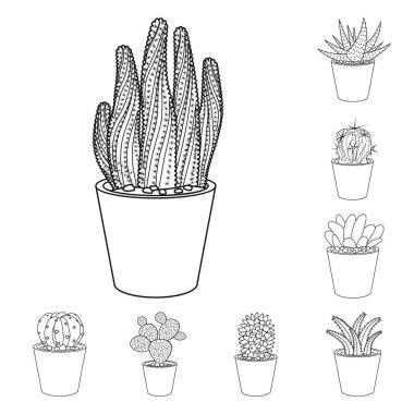 Kaktüs ve pot işareti tasarımını vektör. Kaktüs ve kaktüsler hisse senedi vektör çizim.