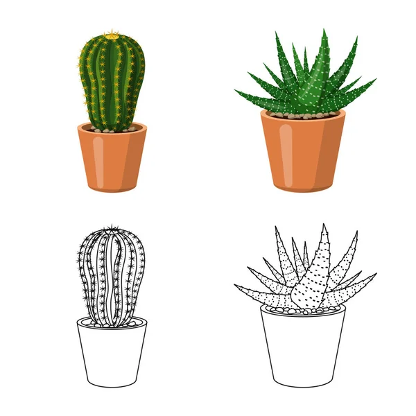 Diseño vectorial de cactus y pote símbolo. Colección de cactus y cactus vector icono para stock . — Archivo Imágenes Vectoriales