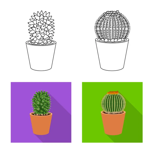 Illustration vectorielle du cactus et signe du pot. Collection d'icônes vectorielles cactus et cactus en stock . — Image vectorielle