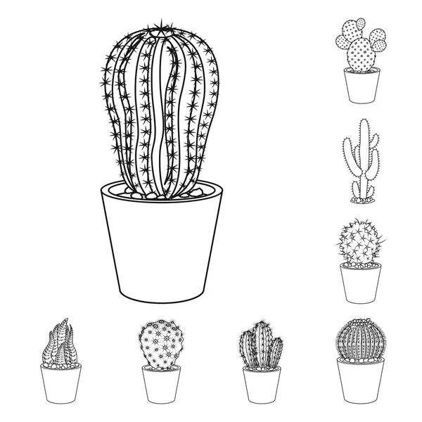 Conception vectorielle de cactus et signe de pot. Collection d'icônes vectorielles cactus et cactus en stock . — Image vectorielle