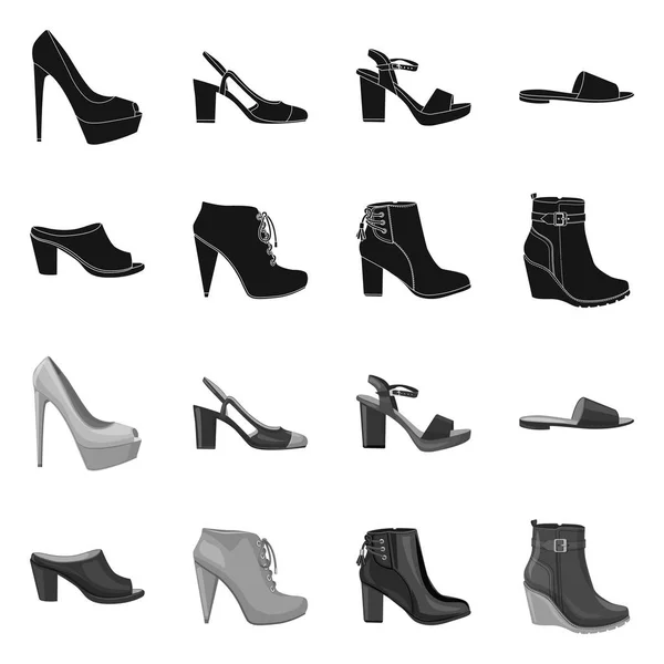 Na białym tle obiekt obuwie i kobieta znak. Kolekcja obuwia i stopa symbol giełdowy dla sieci web. — Wektor stockowy