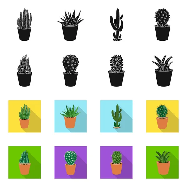Progettazione vettoriale del cactus e dell'icona del vaso. Serie di cactus e cactus stock illustrazione vettoriale . — Vettoriale Stock