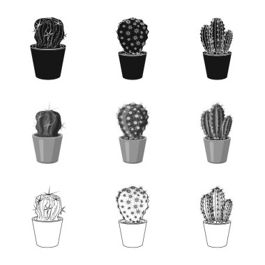 Kaktüs ve pot simge vektör tasarımı. Kaktüs ve kaktüsler koleksiyonu vektör hisse senedi simgesi.