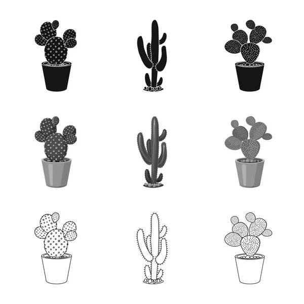 Vektor illustration av kaktus och potten tecken. Samling av kaktus och kaktusar lager vektorillustration. — Stock vektor