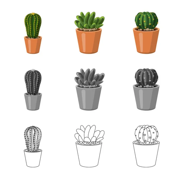Vector ontwerp van pictogram cactus en pot. Collectie van de cactus en cactussen vector pictogram voor voorraad. — Stockvector