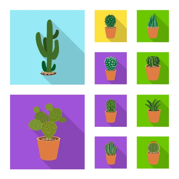 Isolated object of cactus and pot icon. Set of cactus and cacti vector icon for stock. — Stock Vector