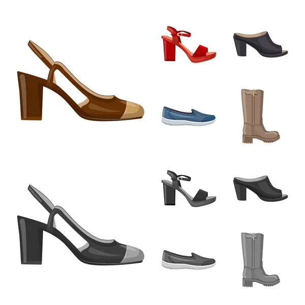 Векторный дизайн обуви и женского знака. Набор значков вектора обуви и ног для склада . — стоковый вектор