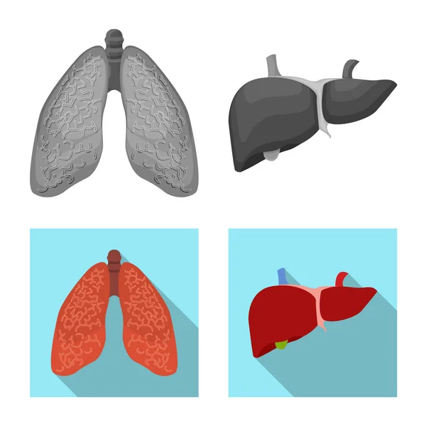 Векторный дизайн корпуса и логотипа человека. Коллекция векторной иллюстрации тела и медицинского фонда . — стоковый вектор