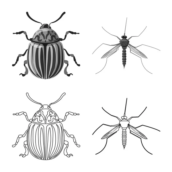 Изолированный объект насекомого и логотип мухи. Набор векторных иллюстраций насекомых и элементов . — стоковый вектор