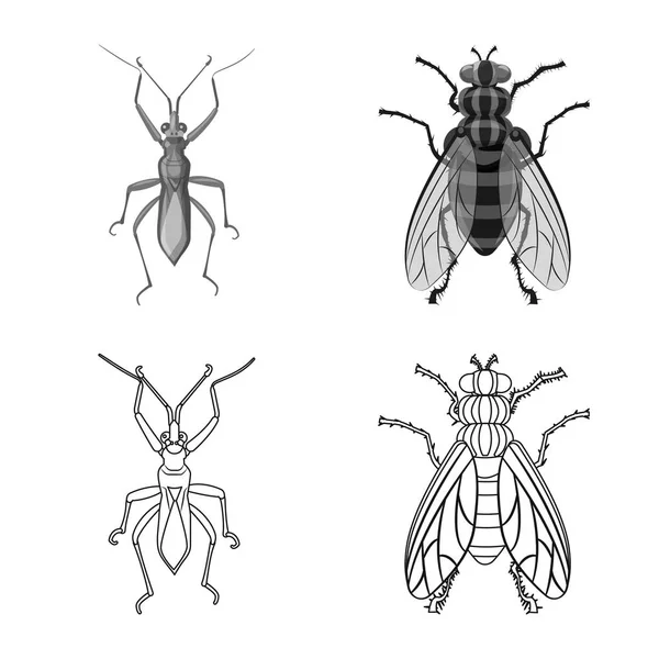 Izolovaný objekt ikony hmyzu a létat. Sada hmyzu a prvek vektorové ilustrace. — Stockový vektor