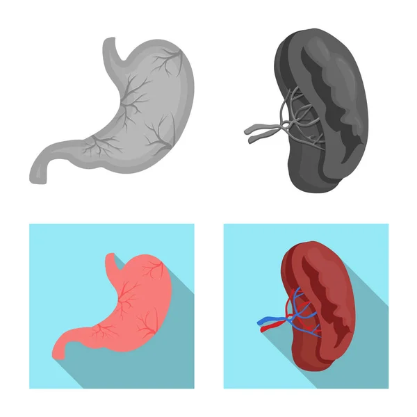 Diseño vectorial del cuerpo y el logotipo humano. Colección de cuerpo y vector médico icono para stock . — Archivo Imágenes Vectoriales