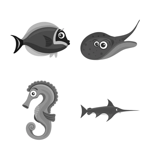 Objeto aislado del logotipo del mar y los animales. Colección de mar y vector marino icono para stock . — Archivo Imágenes Vectoriales