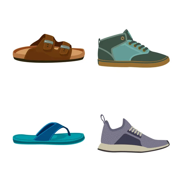 Projeto vetorial de sapato e calçado ícone. Coleção de calçado e símbolo de estoque de pé de web . — Vetor de Stock