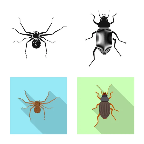 Conception vectorielle du symbole insecte et mouche. Ensemble d'icône vectorielle d'insecte et d'élément pour le stock . — Image vectorielle